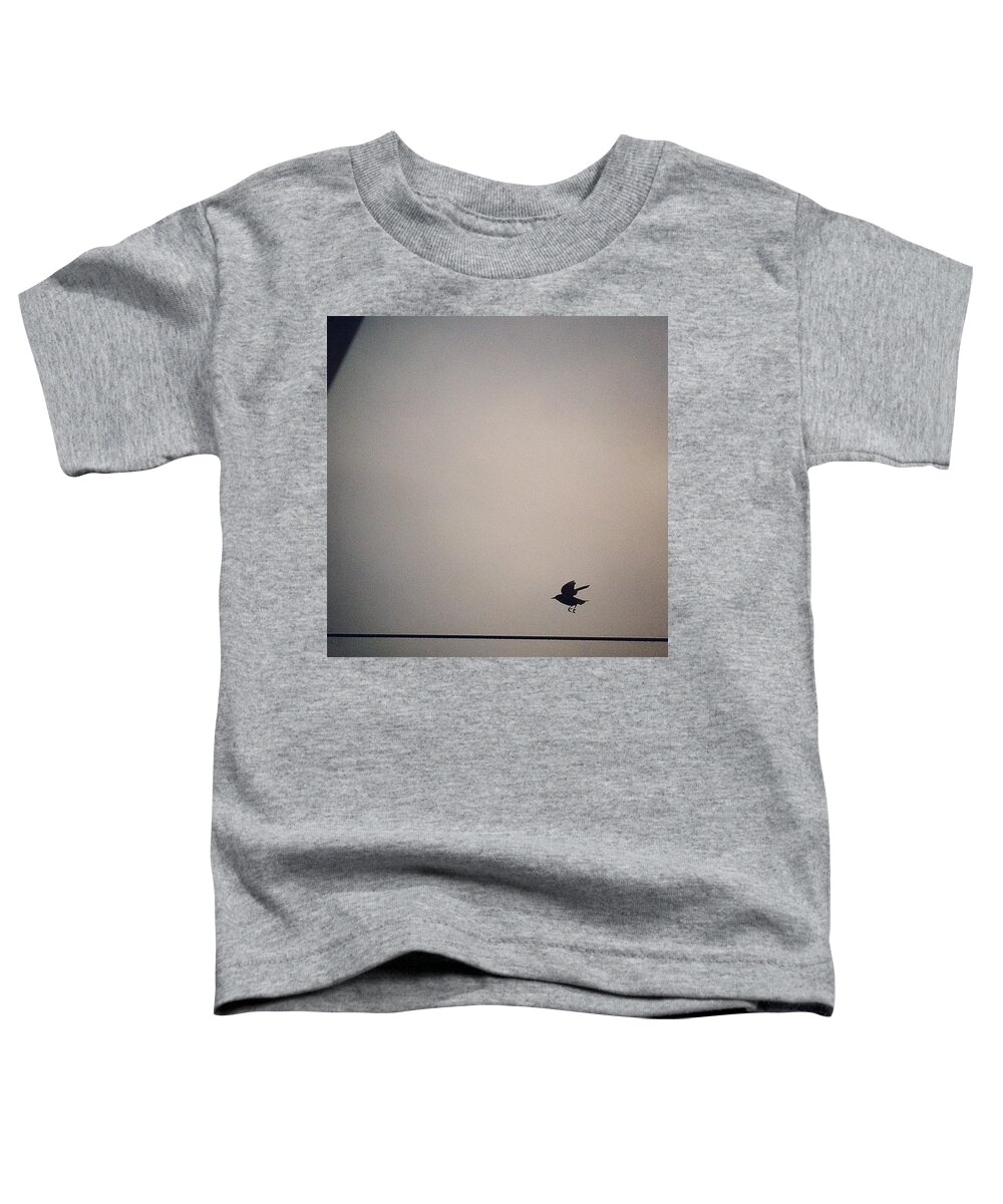 Takeoff Toddler T-Shirt featuring the photograph Flight by Katie Cupcakes