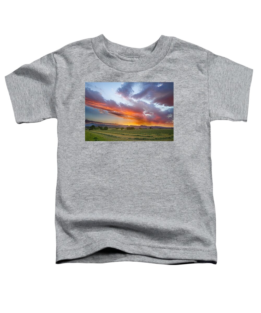 Farm Toddler T-Shirt featuring the photograph Fresh Cut Hay and Colorful Sky by James BO Insogna
