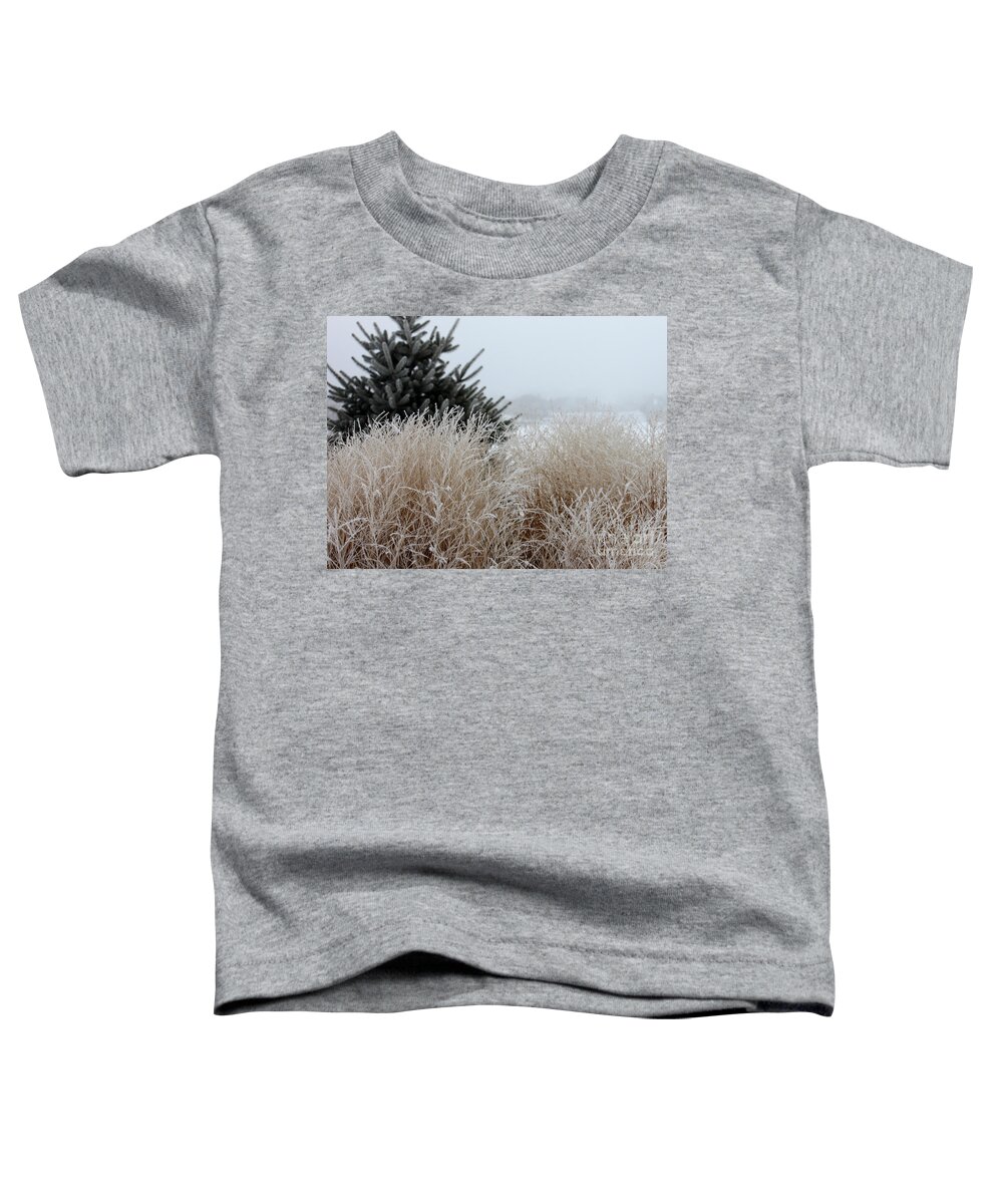 Grass Toddler T-Shirt featuring the photograph Frosted Grasses by Debbie Hart