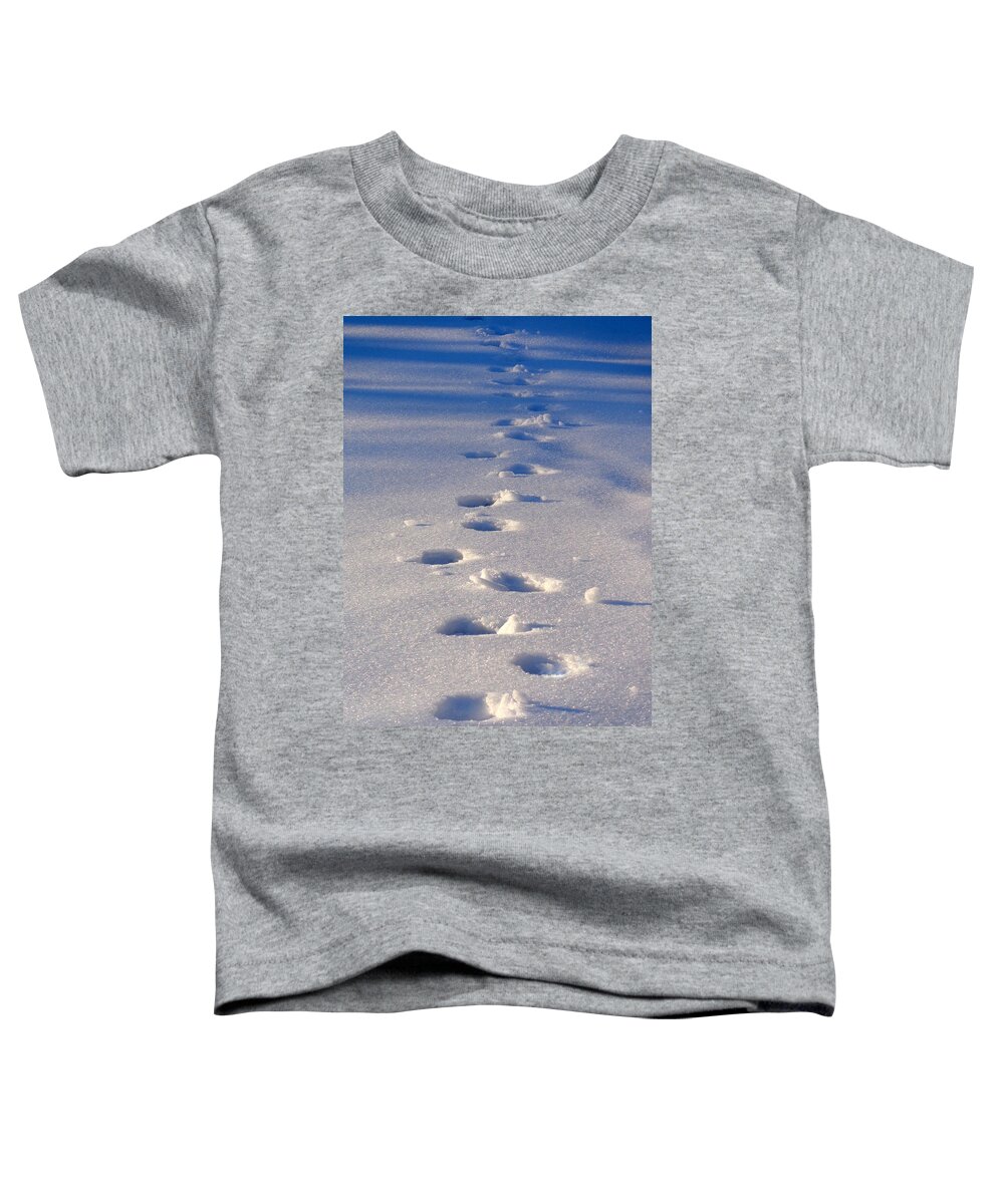 Skompski Toddler T-Shirt featuring the photograph Frosty Path by Joseph Skompski