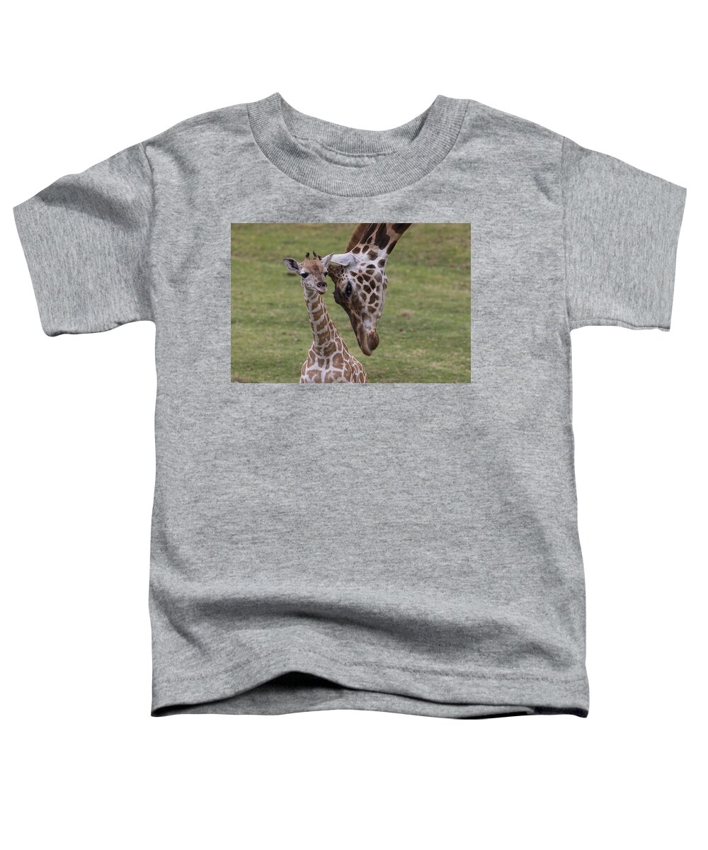 Feb0514 Toddler T-Shirt featuring the photograph Giraffe Mother Nuzzling Calf by San Diego Zoo