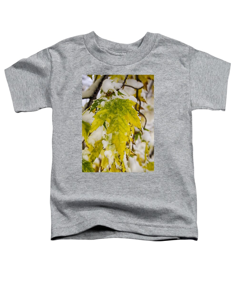 Golden Toddler T-Shirt featuring the photograph Golden Maple In The Snow by James BO Insogna