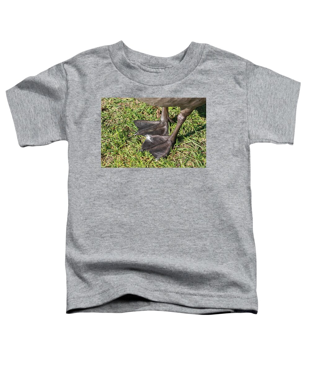 Adaptation Toddler T-Shirt featuring the photograph Goose Feet by Jeanne White