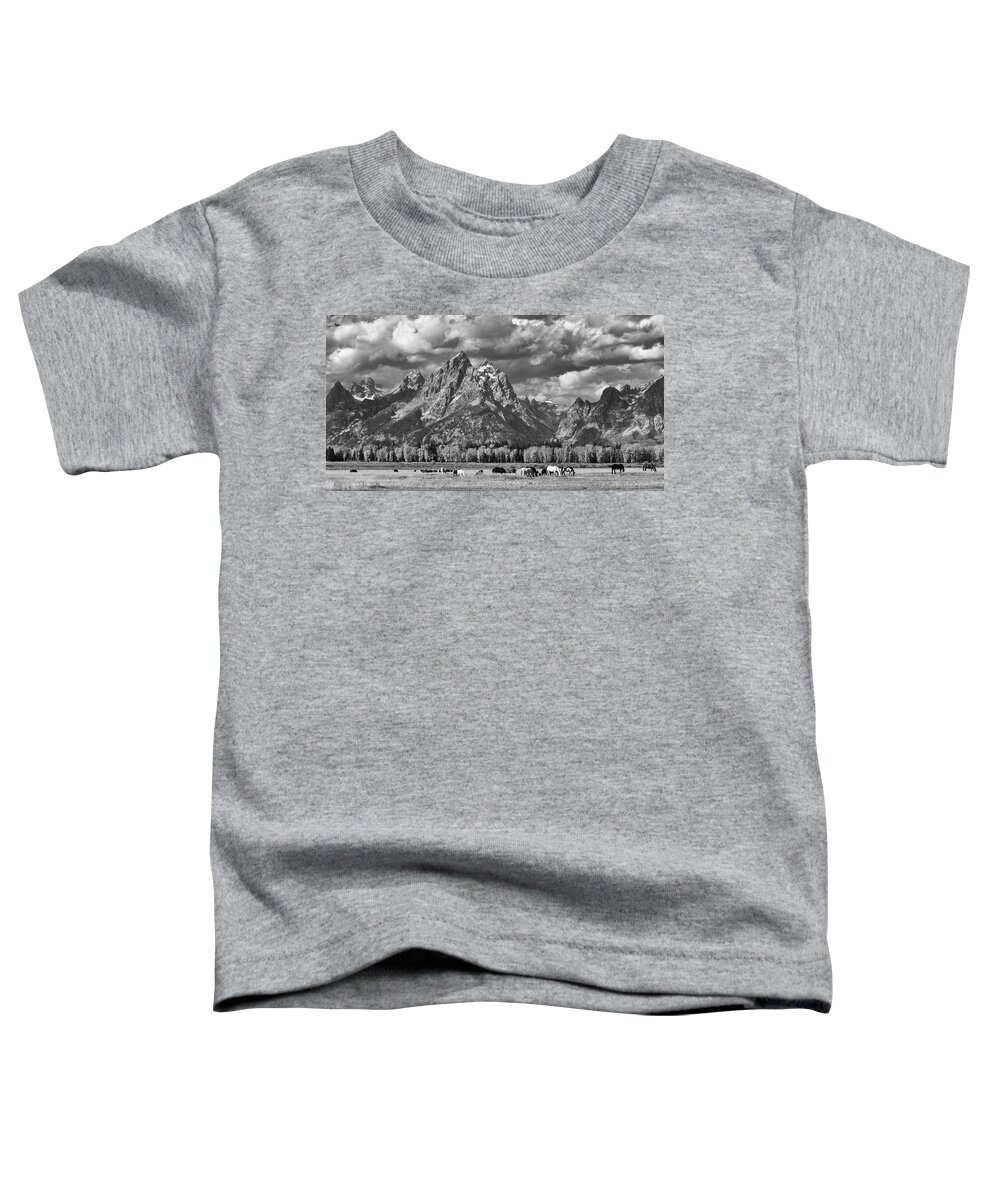 Grand Teton National Park Toddler T-Shirt featuring the photograph Grand Teton Horses by Max Waugh