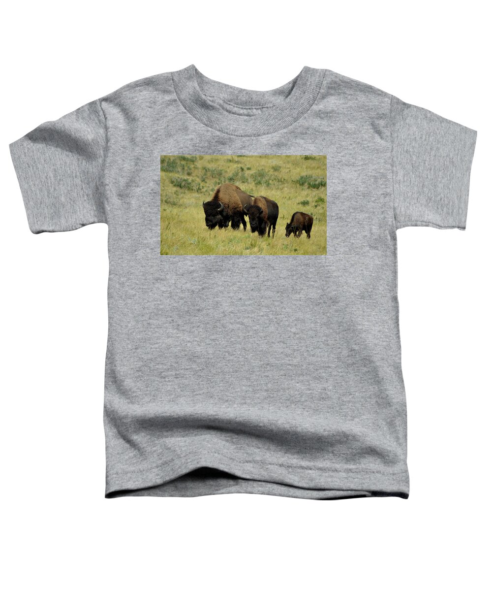 Dakota Toddler T-Shirt featuring the photograph Grazing Buffalo by Greni Graph