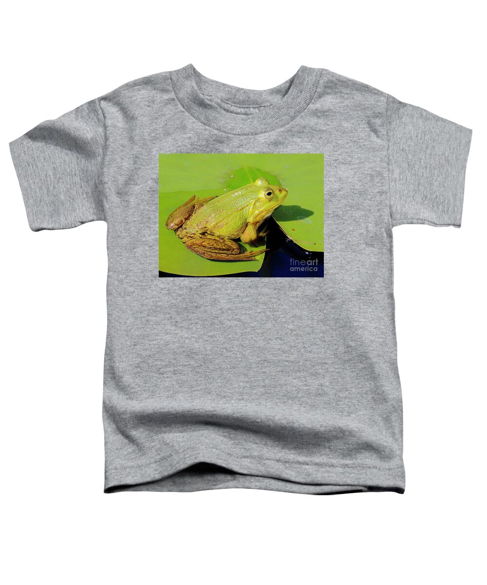 Frogs Toddler T-Shirt featuring the photograph Green Frog 2 by Amanda Mohler