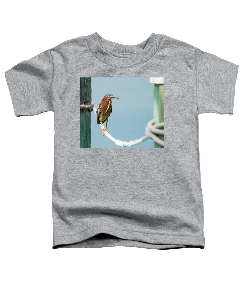 Susan Molnar Toddler T-Shirt featuring the photograph Green Heron IV by Susan Molnar