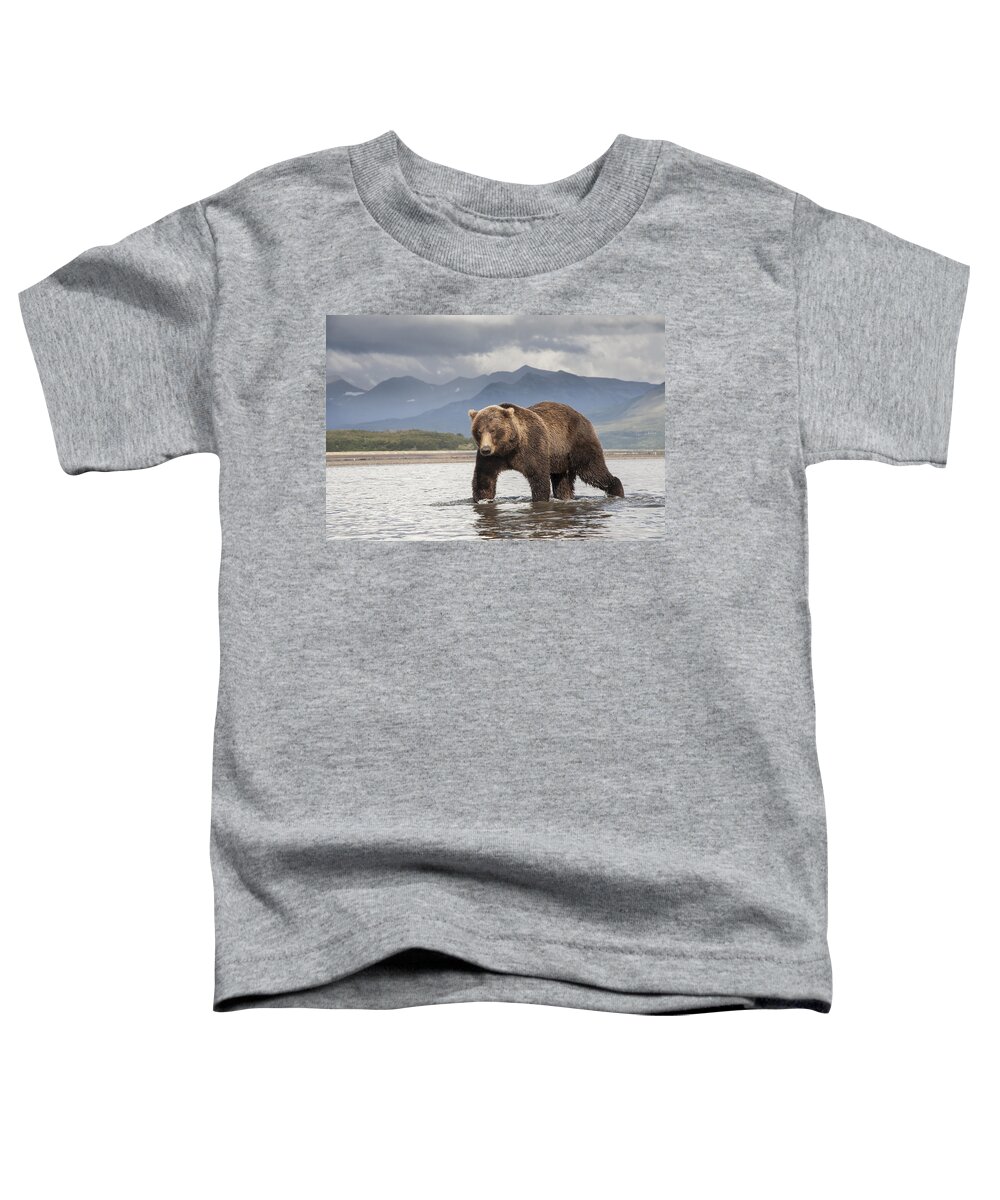 Feb0514 Toddler T-Shirt featuring the photograph Grizzly Bear In River Katmai Np Alaska by Matthias Breiter