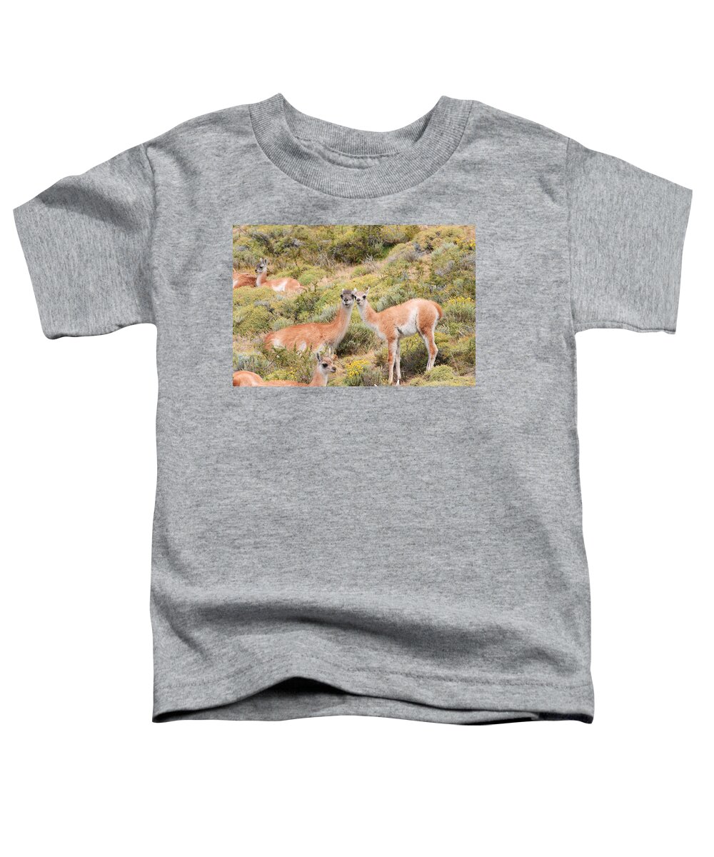 Photograph Toddler T-Shirt featuring the photograph Guanaco by Richard Gehlbach