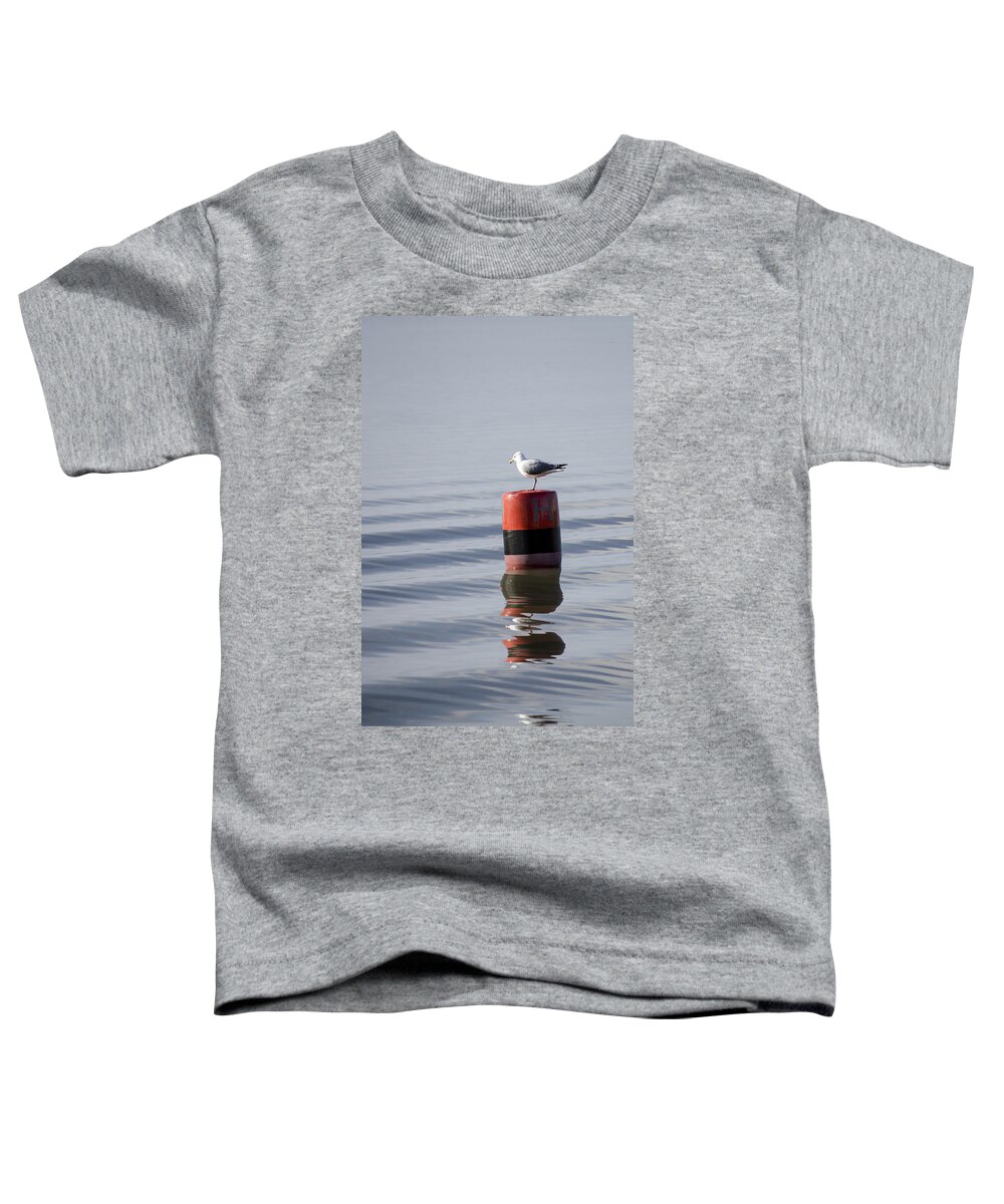 Sand Toddler T-Shirt featuring the photograph Gull by Spikey Mouse Photography