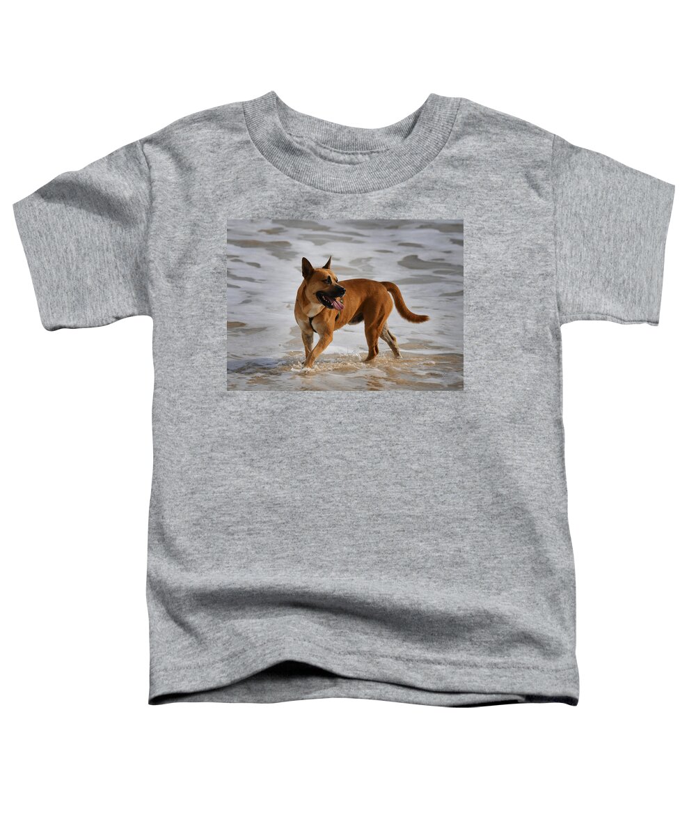 Dog Toddler T-Shirt featuring the photograph Happy Dogs 5 by Xueling Zou
