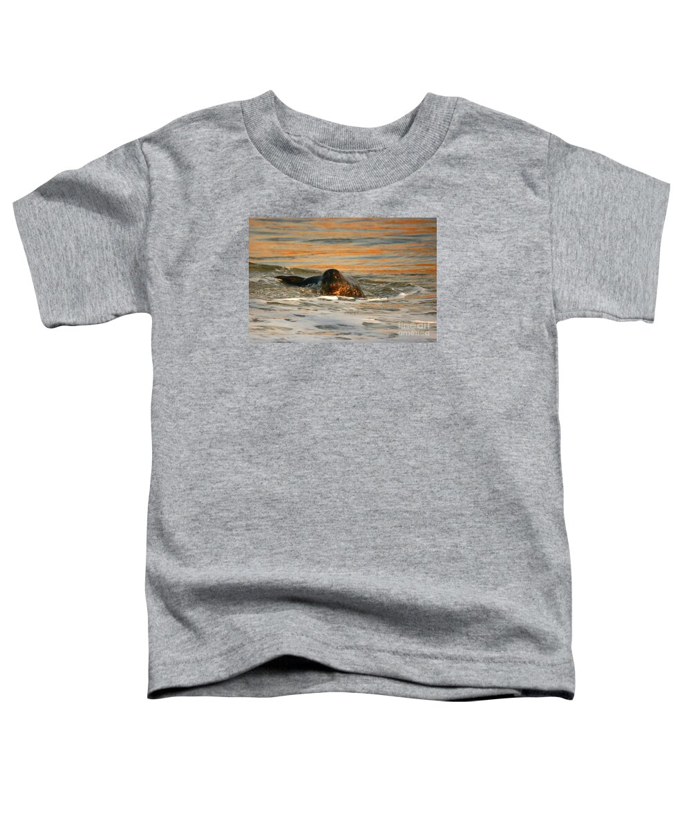 Mammals Toddler T-Shirt featuring the photograph La Jolla Seal Sunset by John F Tsumas