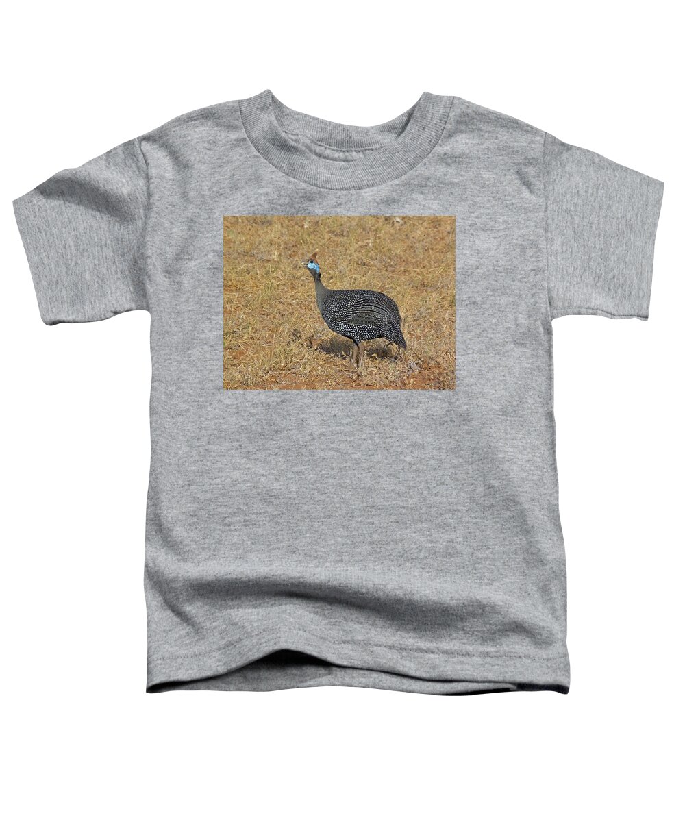 Helmeted Guinea Fowl Toddler T-Shirt featuring the photograph Helmeted guinea fowl by Tony Murtagh