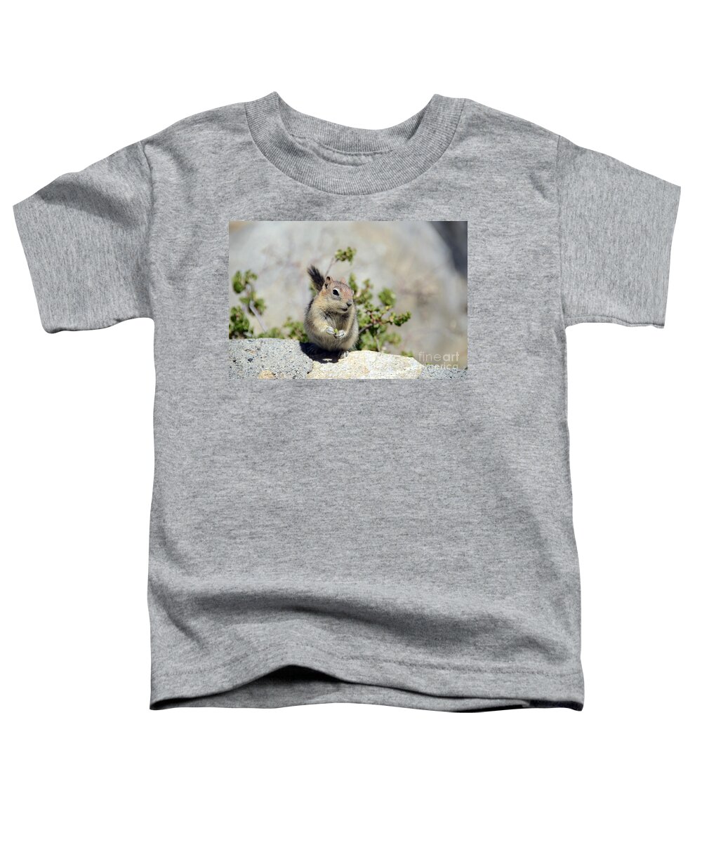 Golden-mantled Ground Squirrel Toddler T-Shirt featuring the photograph Hold That Pose by Debra Thompson