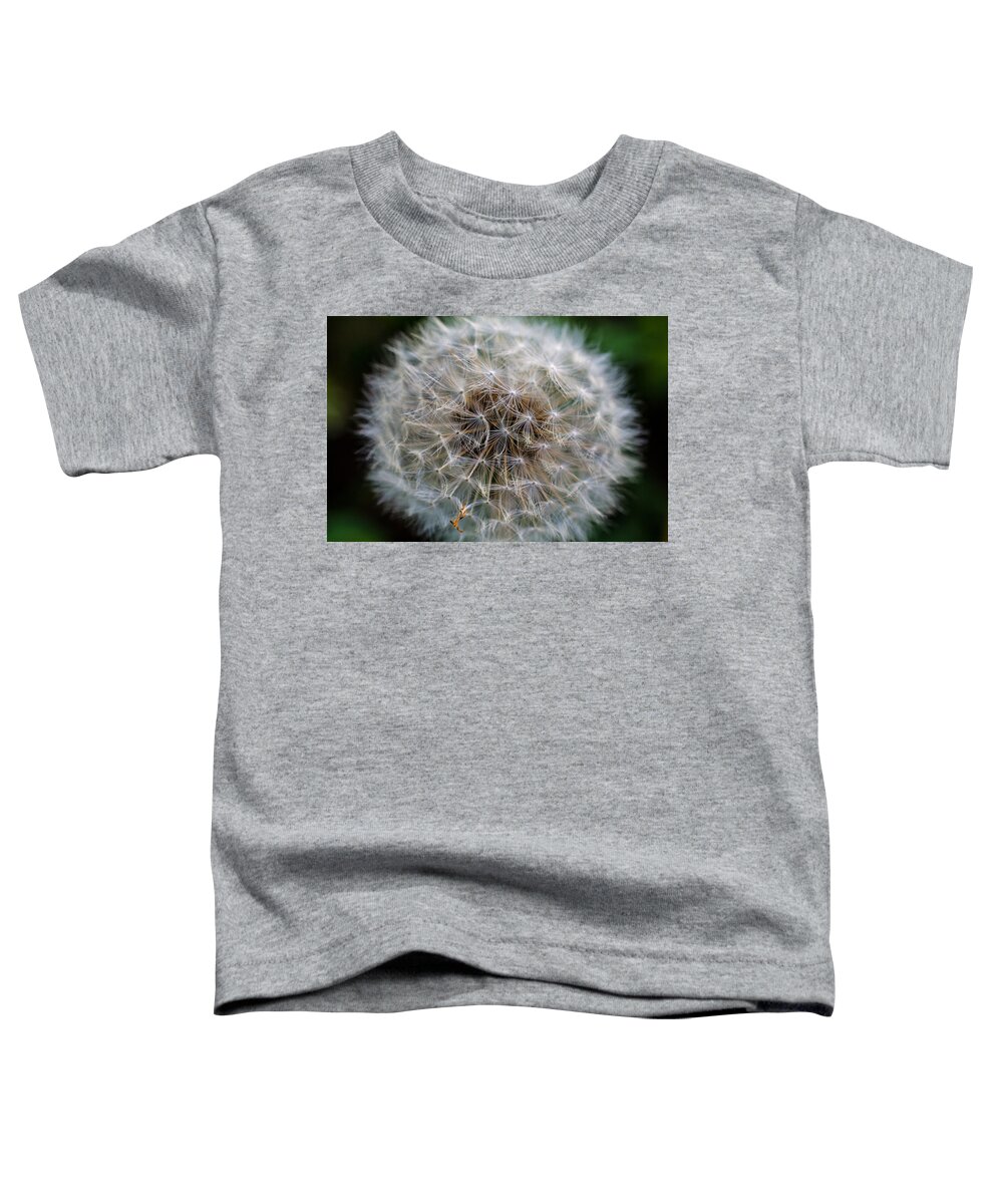 Dandelion Toddler T-Shirt featuring the photograph Hold Your Breath Make A Wish Count to Three by Jordan Blackstone