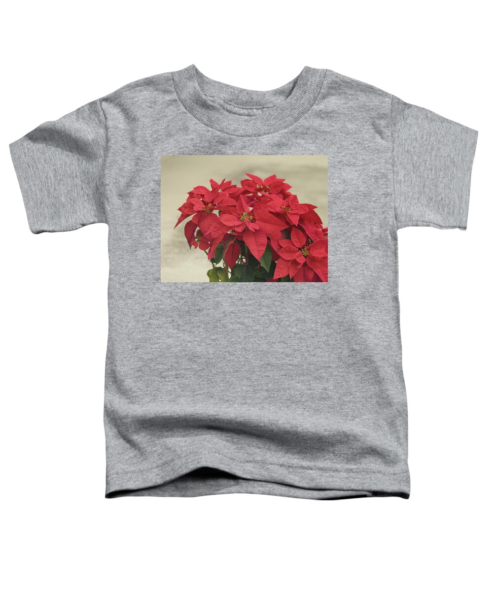 Poinsettia Toddler T-Shirt featuring the photograph Holiday Poinsettia by Kim Hojnacki
