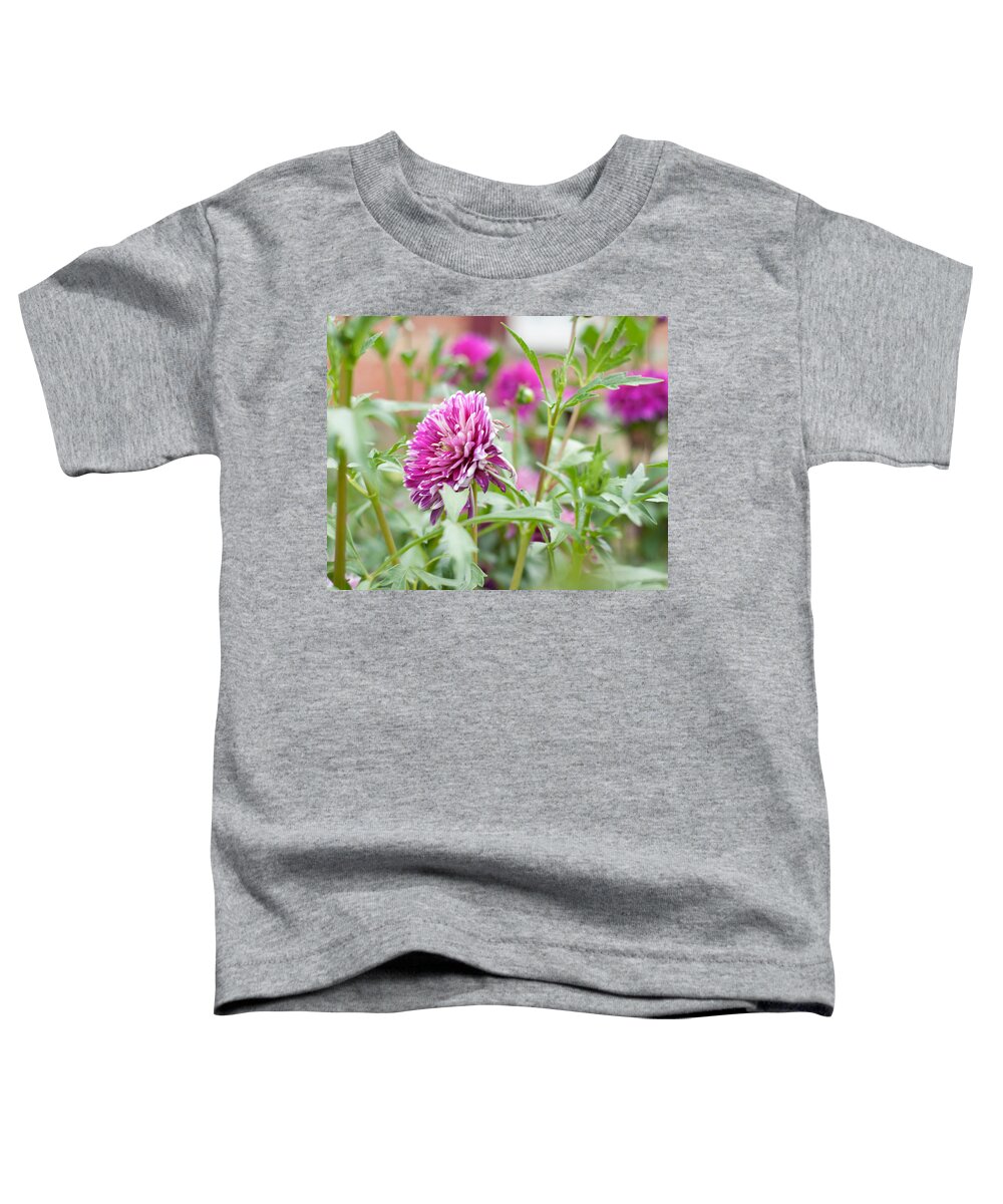 Home Toddler T-Shirt featuring the photograph Home Flower Garden by Miguel Winterpacht