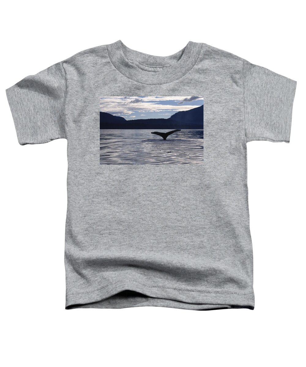Feb0514 Toddler T-Shirt featuring the photograph Humpback Whale Tail At Sunset Southeast by Flip Nicklin