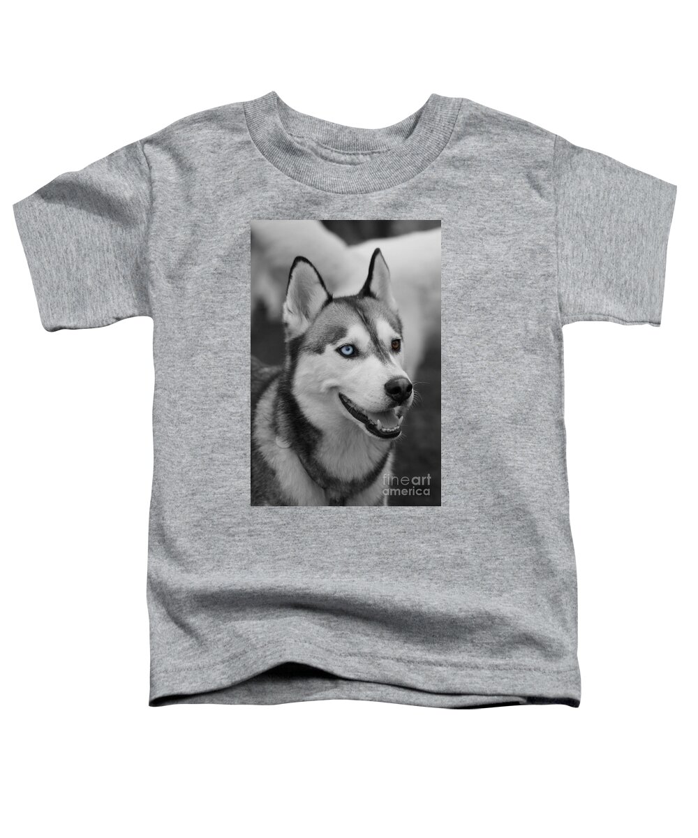 Husky Toddler T-Shirt featuring the photograph Husky Portrait by Vicki Spindler