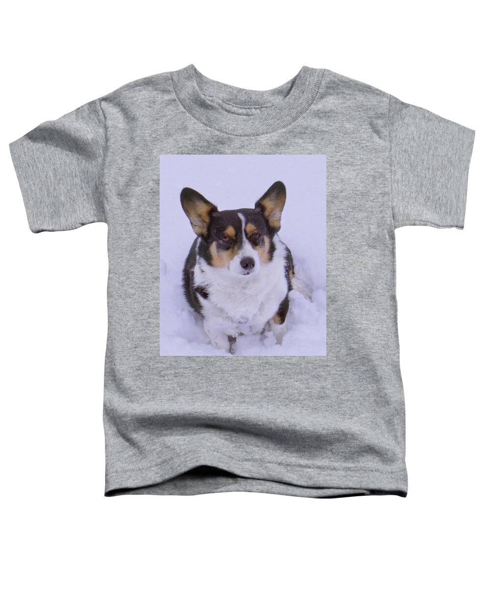 Corgi Toddler T-Shirt featuring the photograph I Do Not Like Snow by Mike McGlothlen