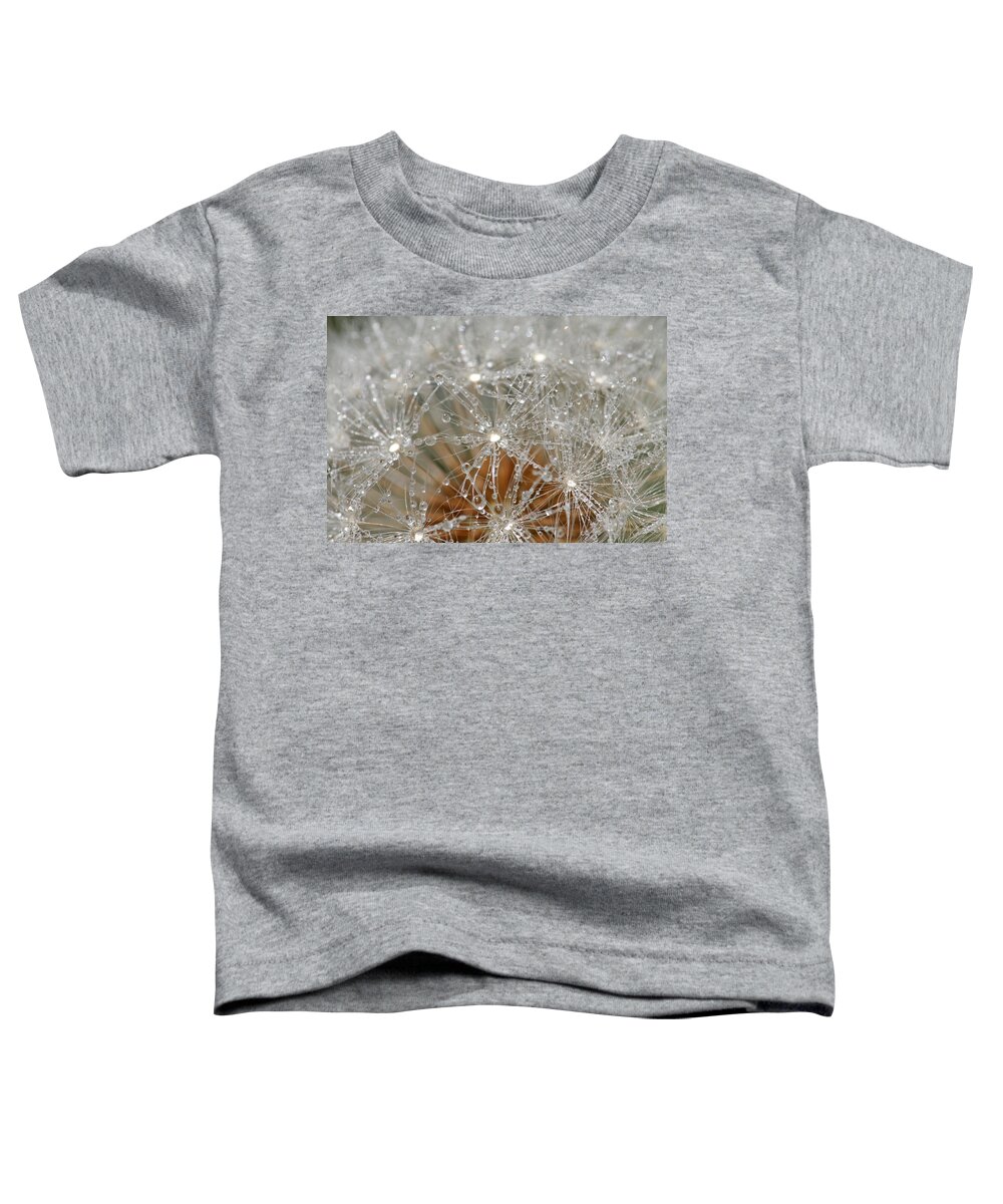 Dandelion Toddler T-Shirt featuring the photograph I Might've Gone to Seed But I Still Know How to Party by Peggy Collins