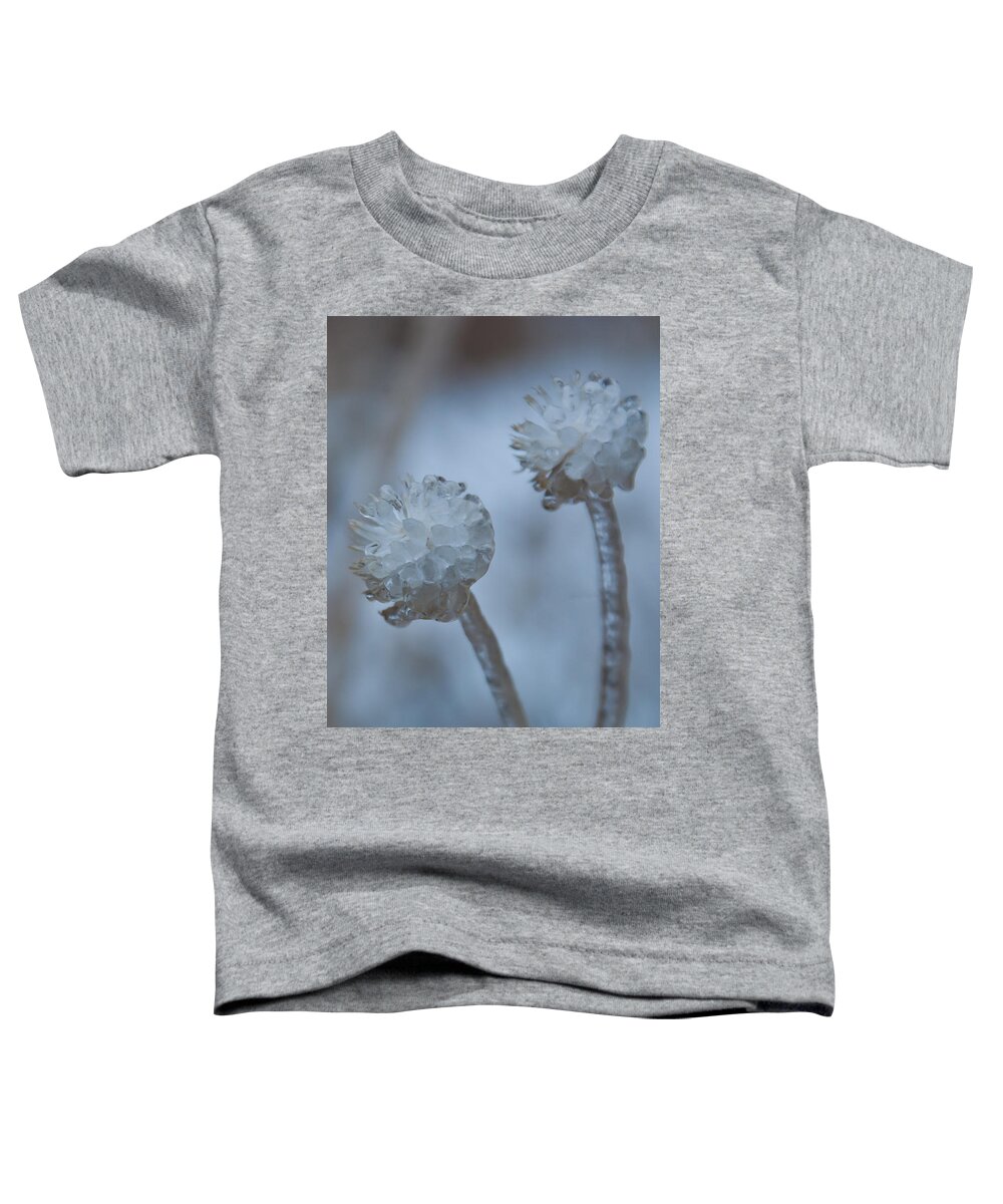 Flower Toddler T-Shirt featuring the photograph Ice-covered Winter Flowers with Blue Background by Cascade Colors