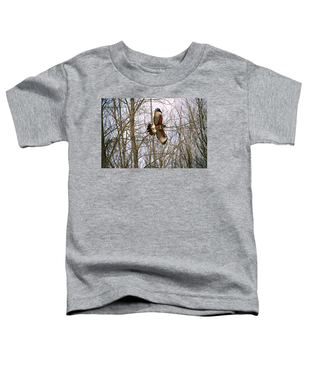 Hawk Toddler T-Shirt featuring the photograph In Flight by David Porteus