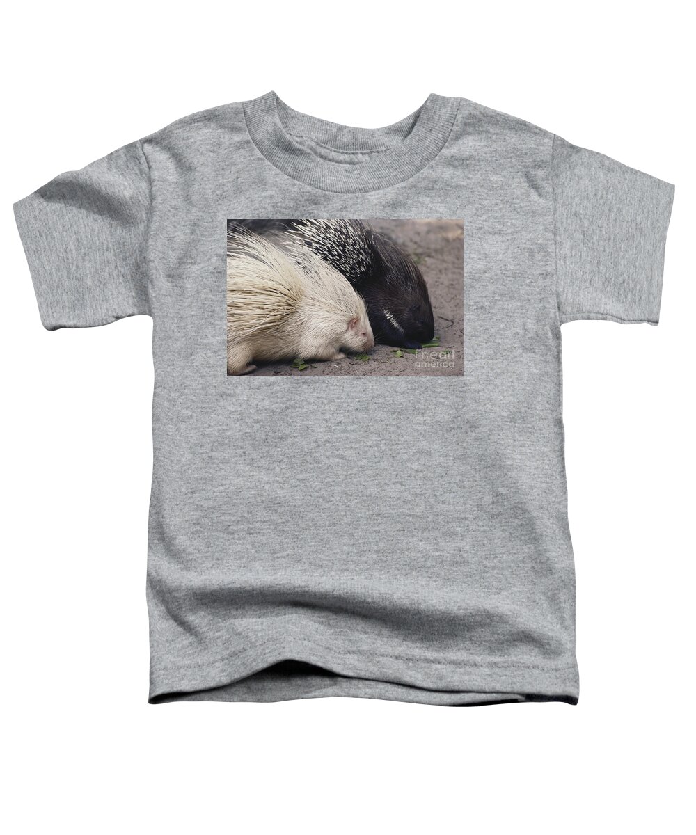 Nature Toddler T-Shirt featuring the photograph Indian-crested Porcupines Normal by Tom McHugh