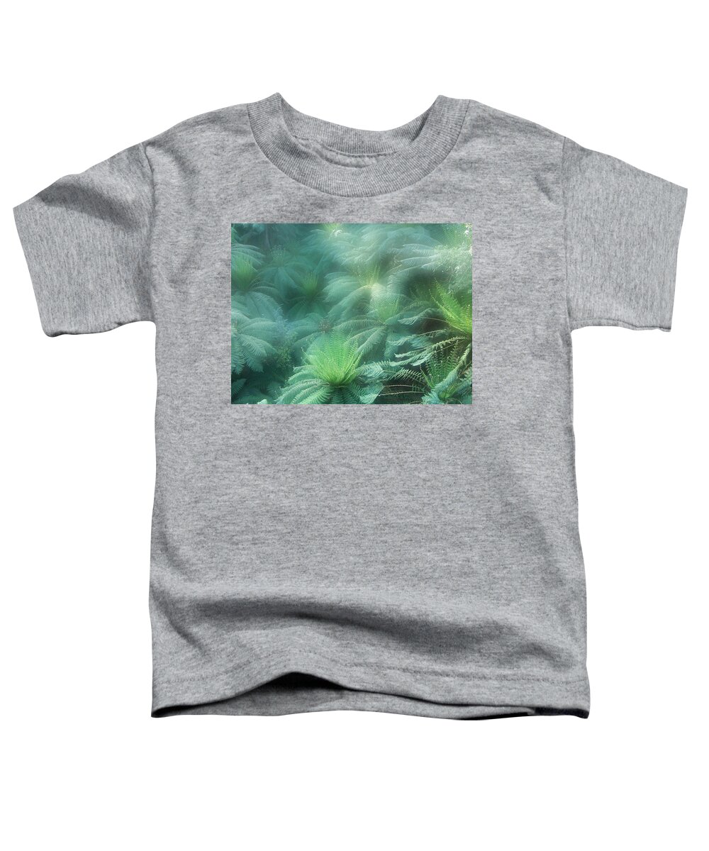 Tree Ferns Toddler T-Shirt featuring the photograph Jurassic Gully by Evelyn Tambour