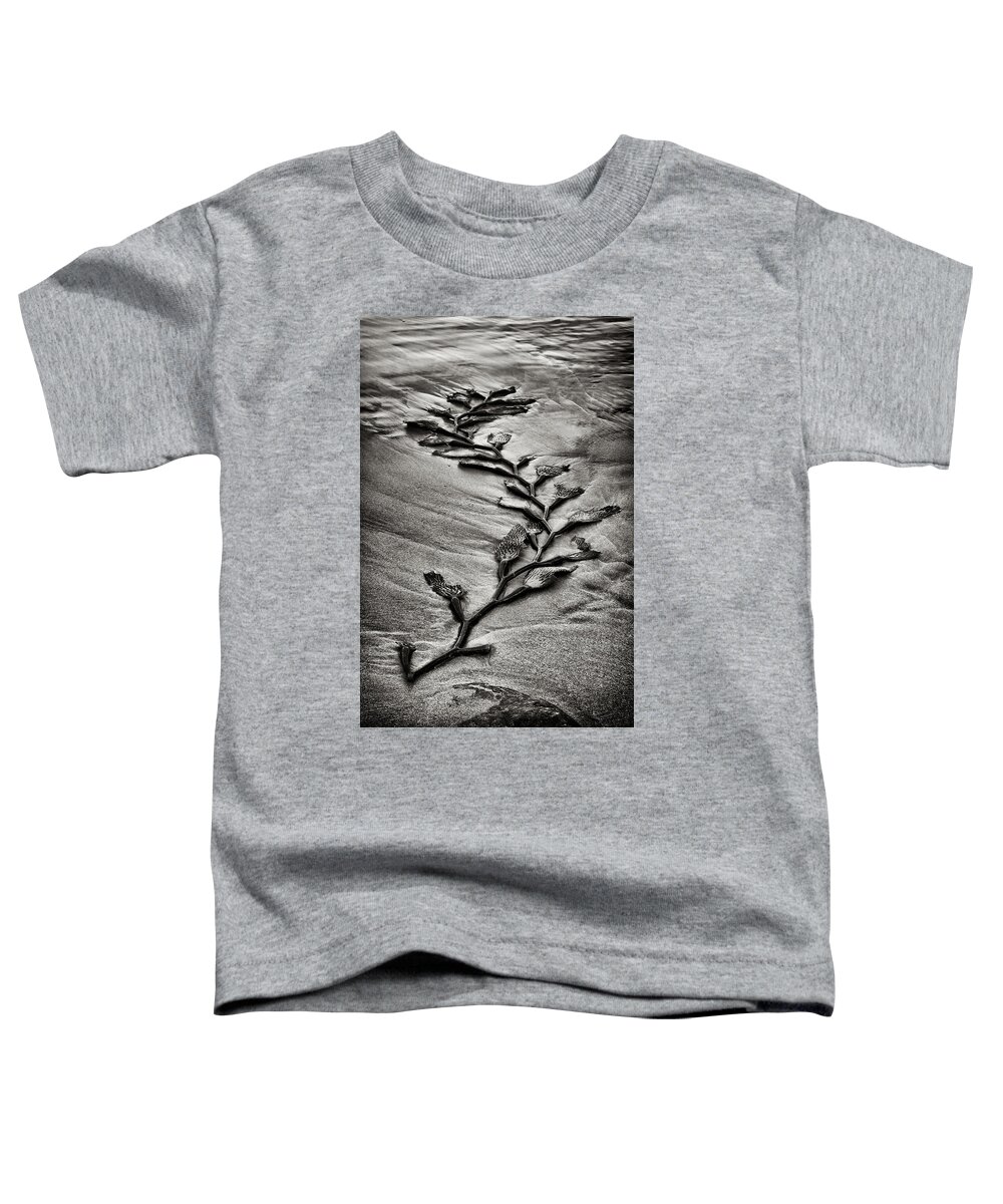 Kelp Toddler T-Shirt featuring the photograph Kelp Snake by Robert Woodward