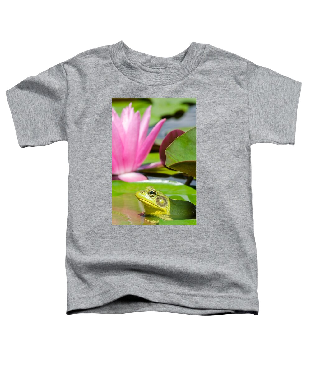 Ladew Gardens Toddler T-Shirt featuring the photograph Ladew Flog by Georgette Grossman