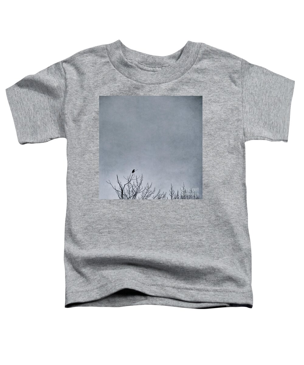 Nature Toddler T-Shirt featuring the photograph Land Shapes 8 by Priska Wettstein