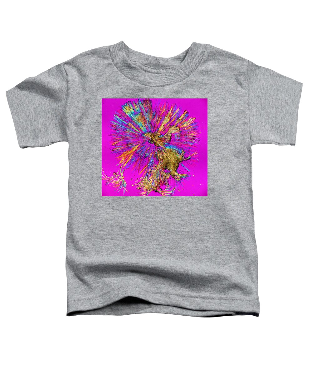 Crystals Toddler T-Shirt featuring the photograph Last Flight Of The Phoenix by Hodges Jeffery