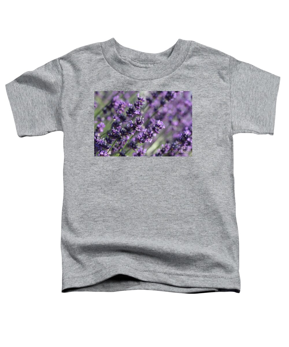 Closeup Toddler T-Shirt featuring the photograph Lavender by Amanda Mohler