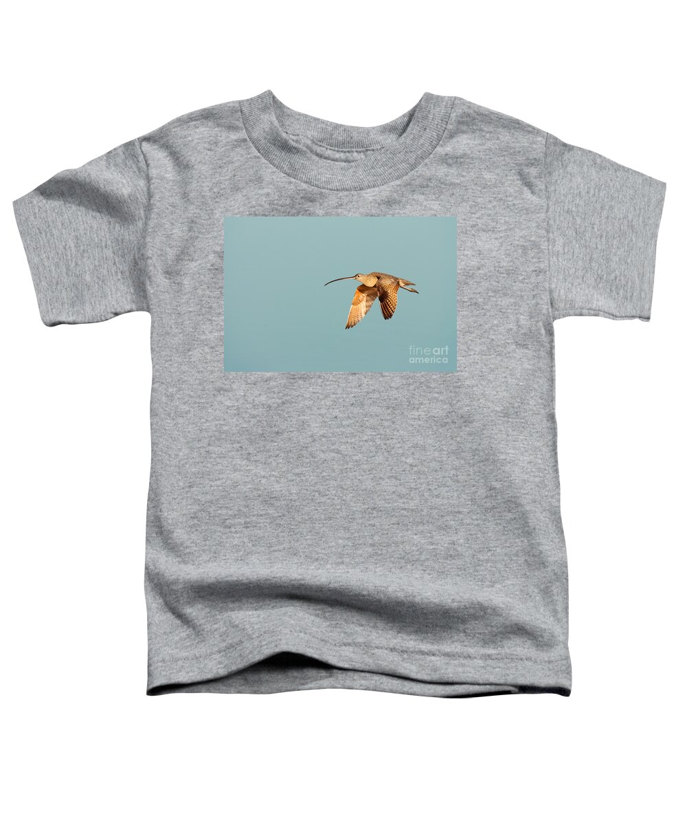Long-billed Toddler T-Shirt featuring the photograph Long-billed Curlew Huntington Beach California by Ram Vasudev