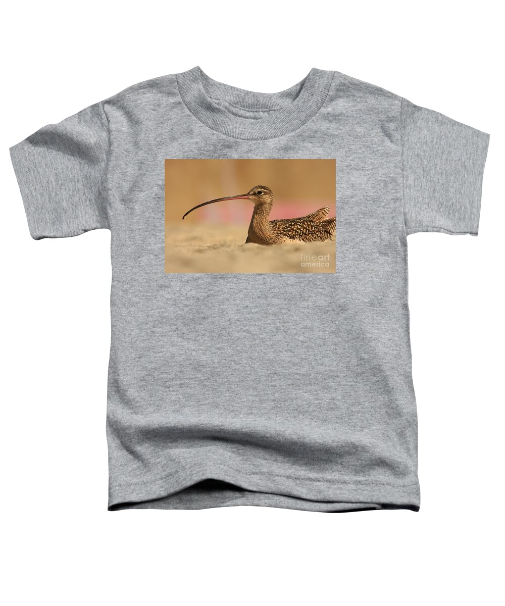 Landscapes Toddler T-Shirt featuring the photograph Long Billed Curlew by John F Tsumas