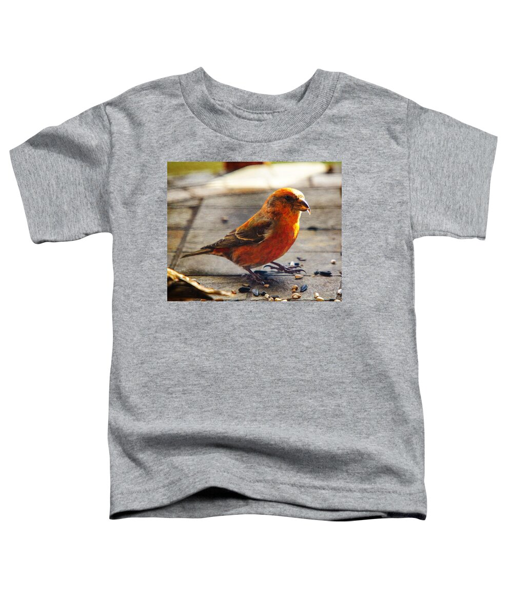 Red Crossbill Toddler T-Shirt featuring the photograph Look - I'm a Crossbill by Robert L Jackson