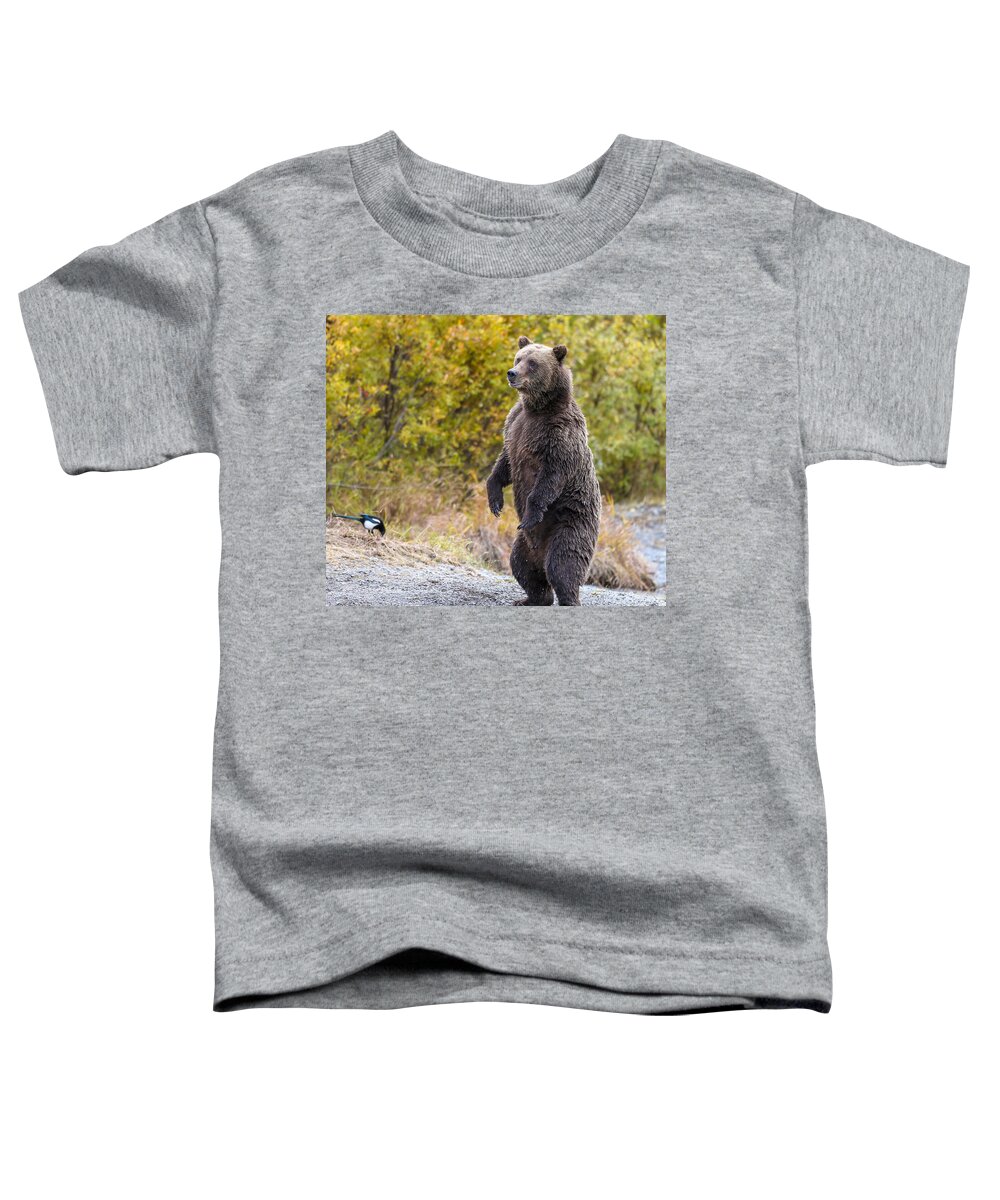 Bear Toddler T-Shirt featuring the photograph Looking For Trouble by Kevin Dietrich