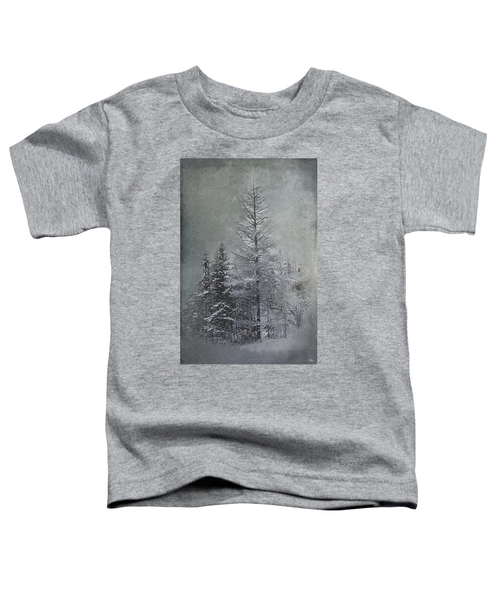 Carrier Toddler T-Shirt featuring the photograph Mackinaw Michigan Winter by Evie Carrier