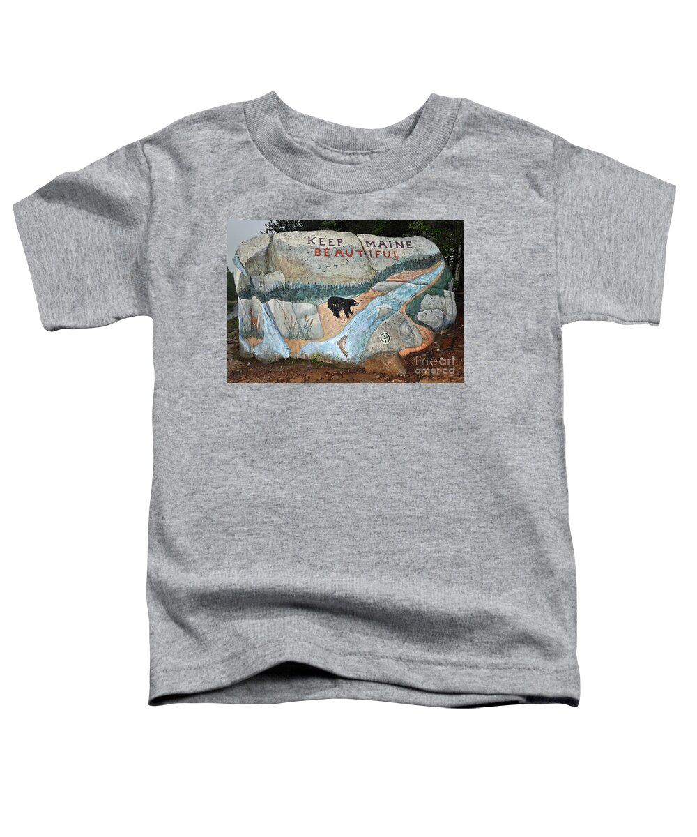 Baxter State Park Toddler T-Shirt featuring the photograph Maine Rock Painting by Glenn Gordon