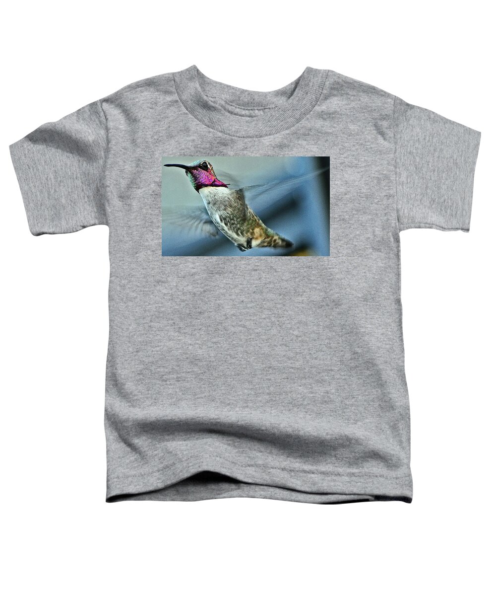 Hummingbird Toddler T-Shirt featuring the photograph Male Hummingbird Free As A Bird by Jay Milo