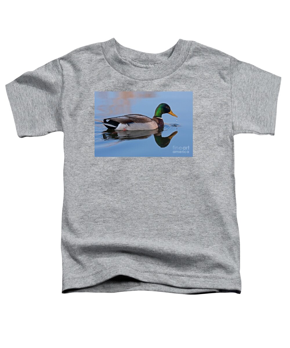 Anas Platyrhynchos Toddler T-Shirt featuring the photograph Mallard Duck in Sterne Lake by Fred Stearns