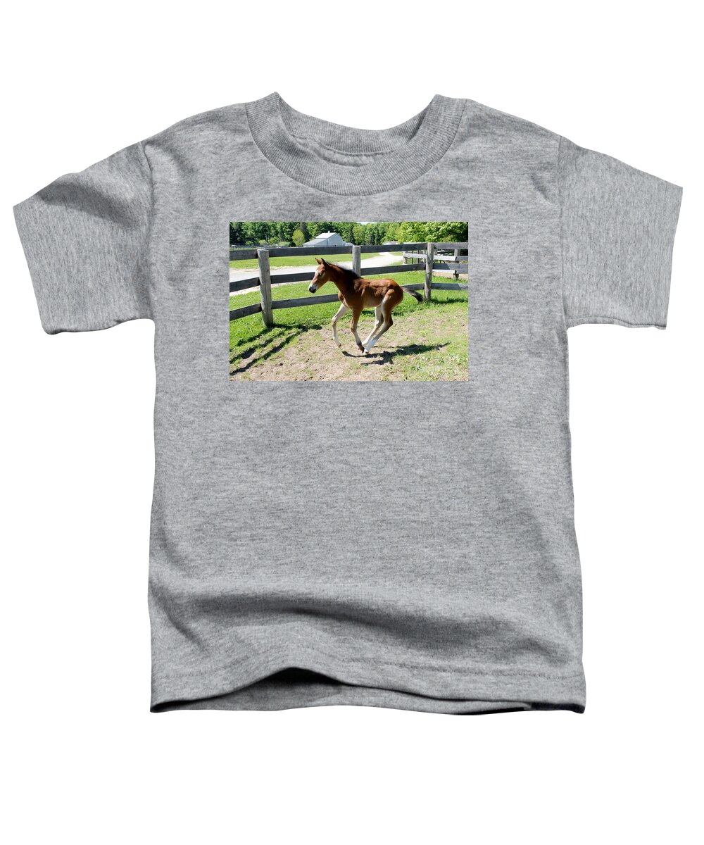 Foal Toddler T-Shirt featuring the photograph Mare Foal90 by Janice Byer