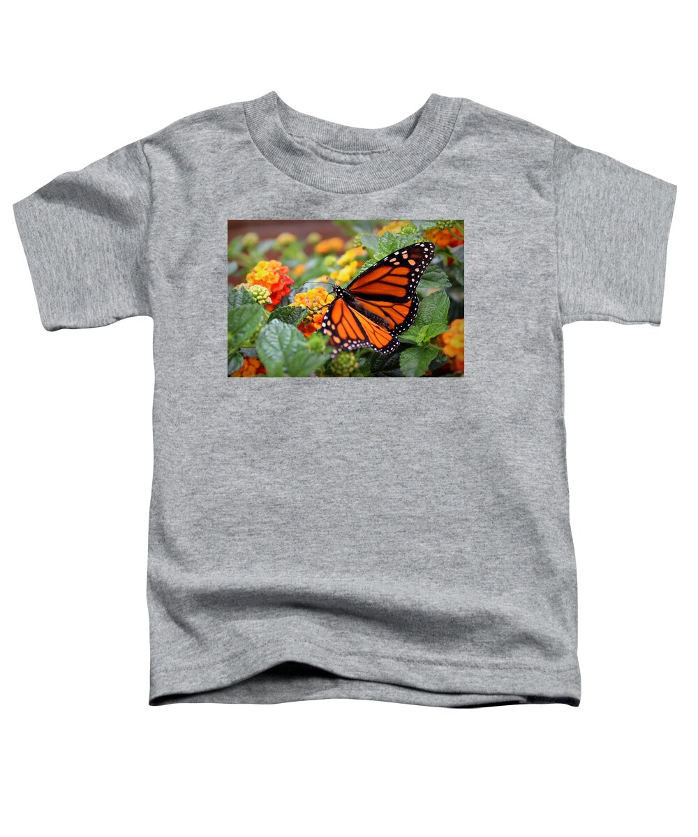 Skompski Toddler T-Shirt featuring the photograph Monarch Butterfly by Joseph Skompski