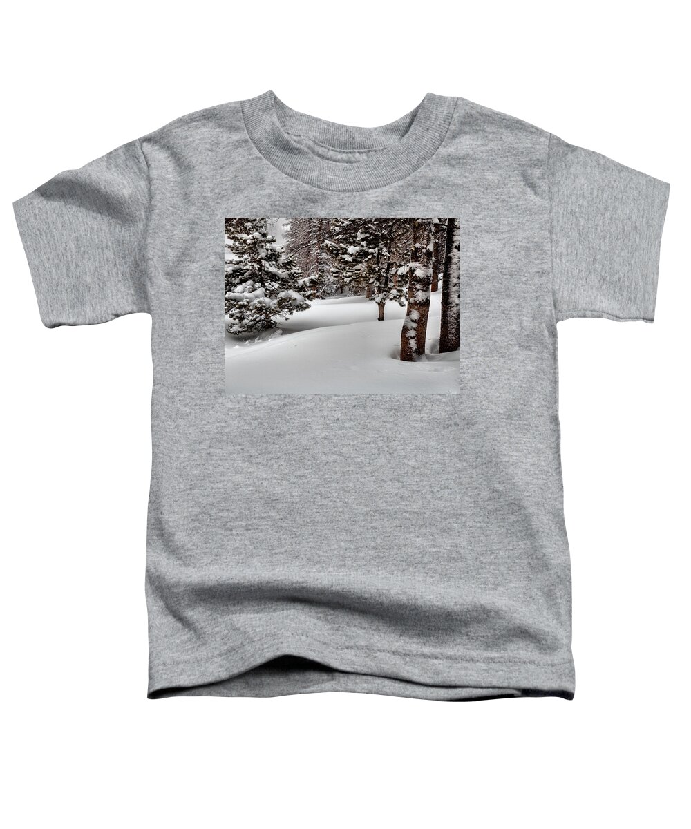 Nature Toddler T-Shirt featuring the photograph Morning Drifts by Steven Reed