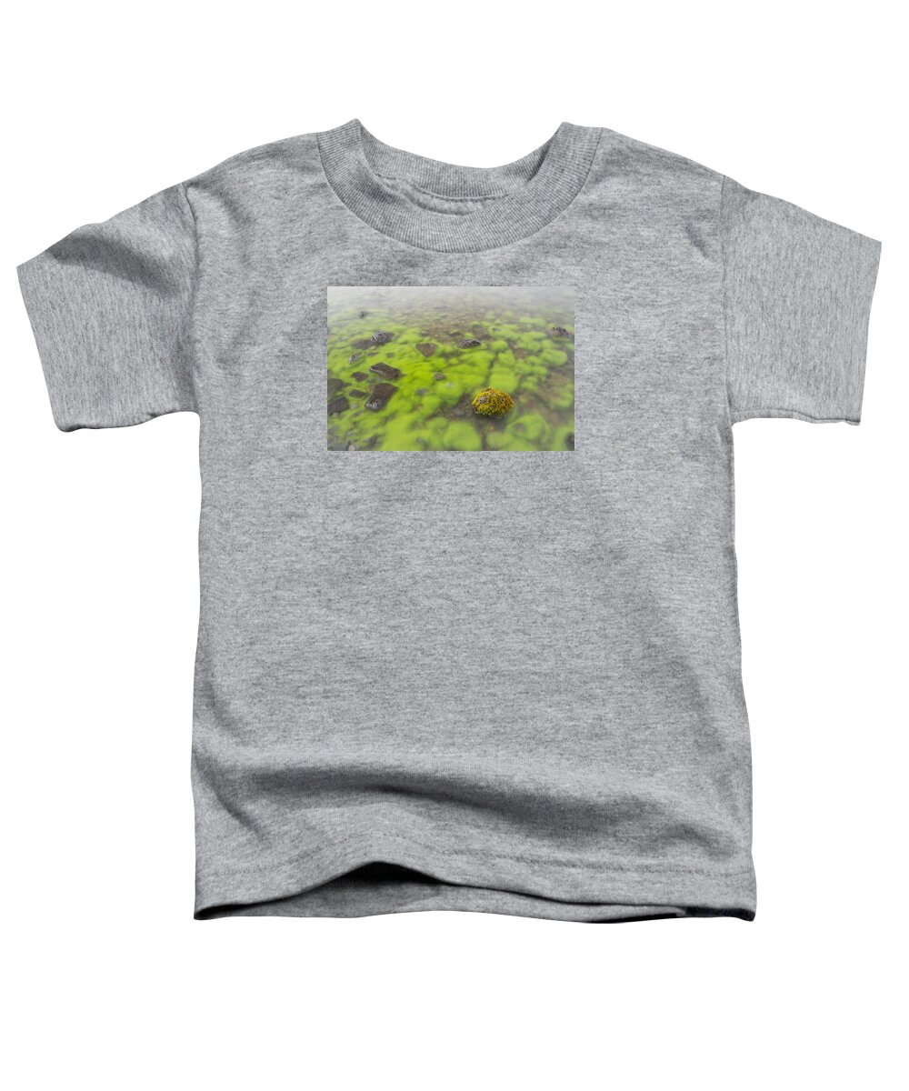 Flpa Toddler T-Shirt featuring the photograph Mossy Stone In Lake Thingvallavatn by Bill Coster