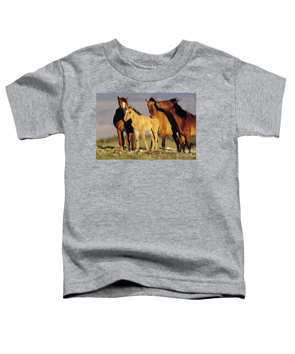 00340031 Toddler T-Shirt featuring the photograph Mustang Family Band Montana by Yva Momatiuk John Eastcott