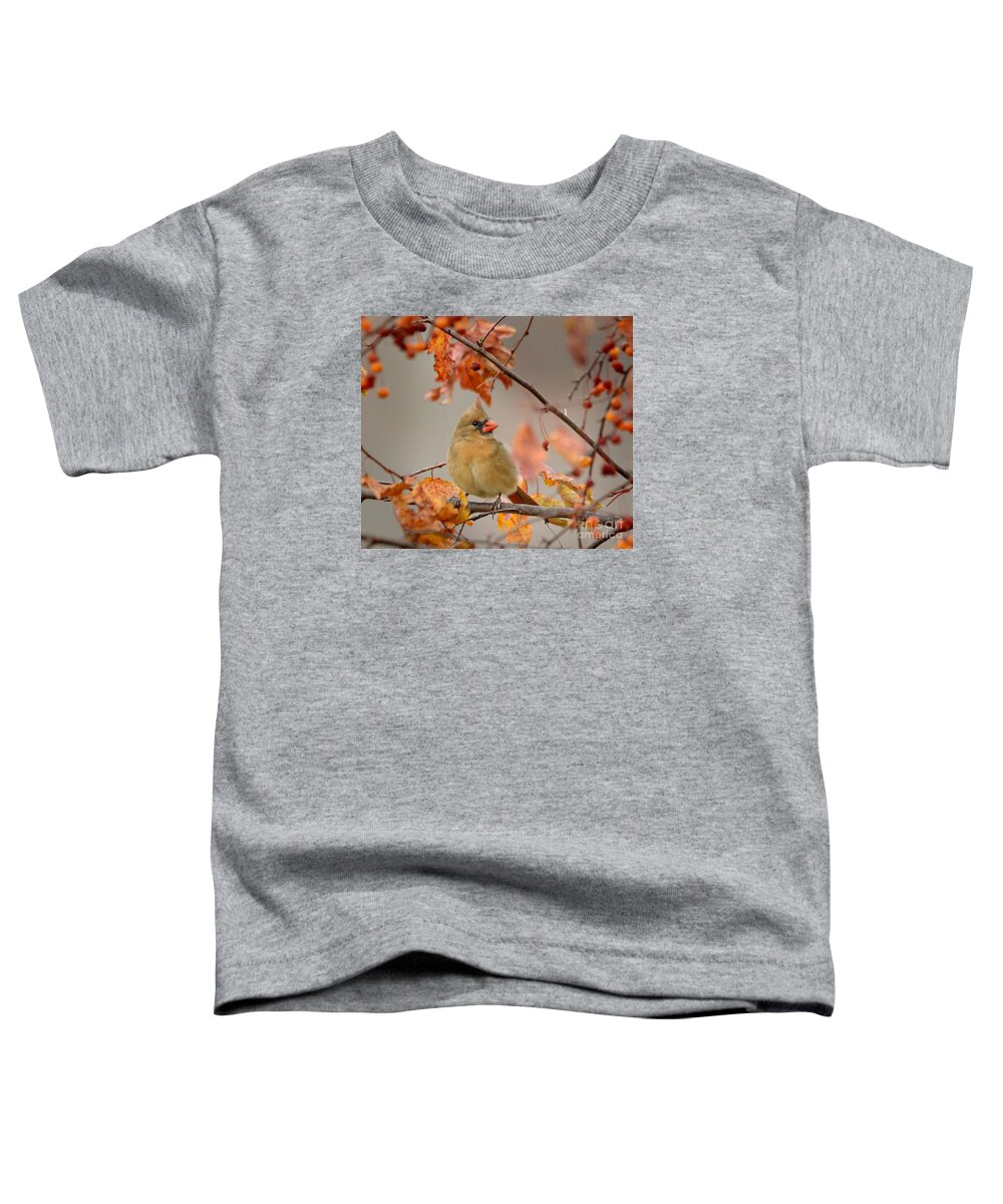Nature Toddler T-Shirt featuring the photograph Fall Colors by Nava Thompson