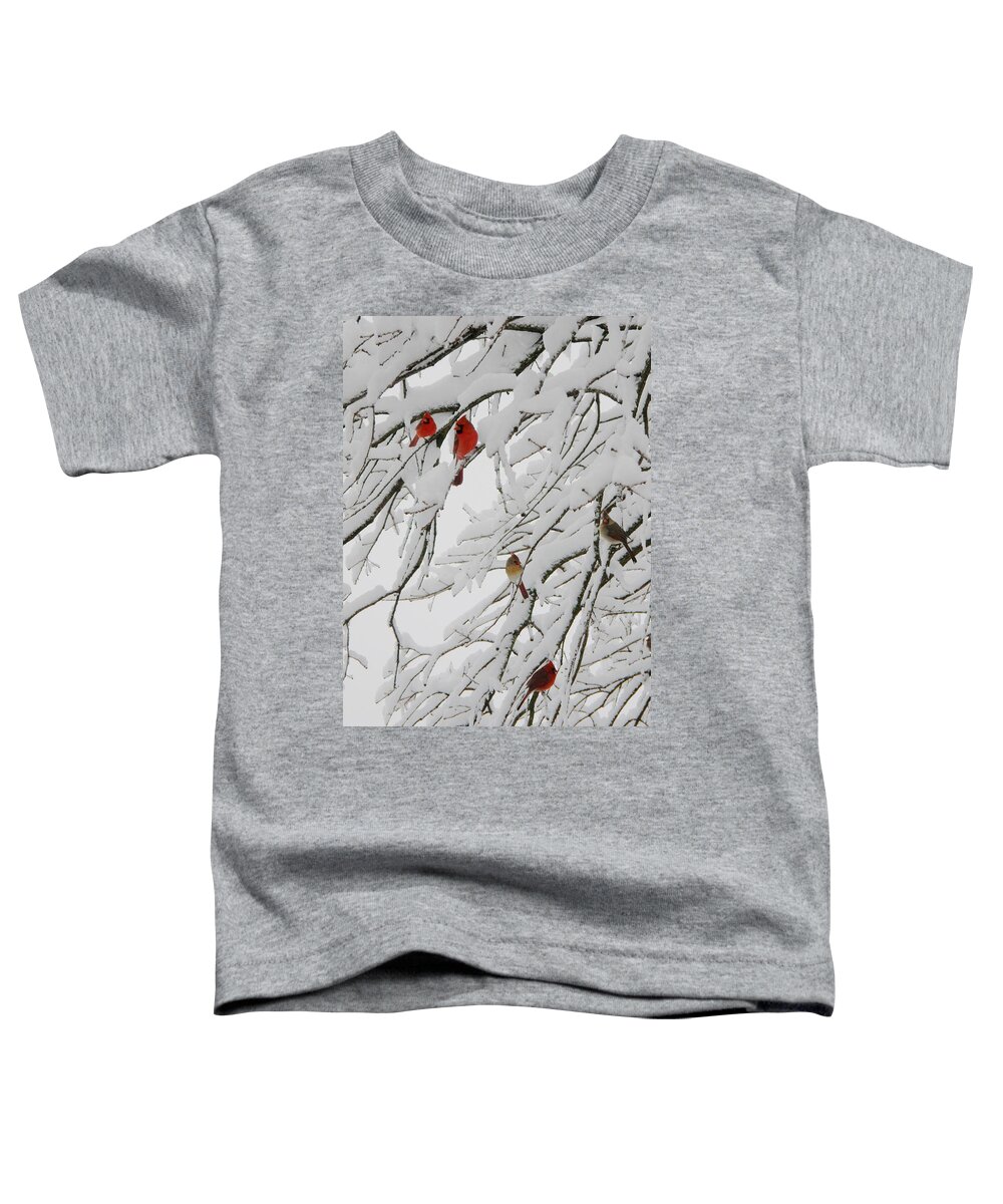 Red Birds Toddler T-Shirt featuring the photograph Nature's Christmas Ornaments by Shannon Story