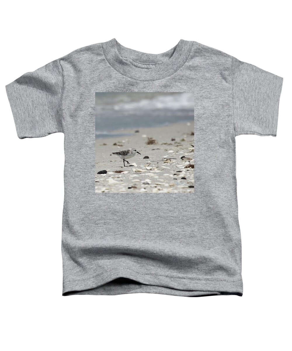 susan Molnar Toddler T-Shirt featuring the photograph Nokomis Beach Piper by Susan Molnar